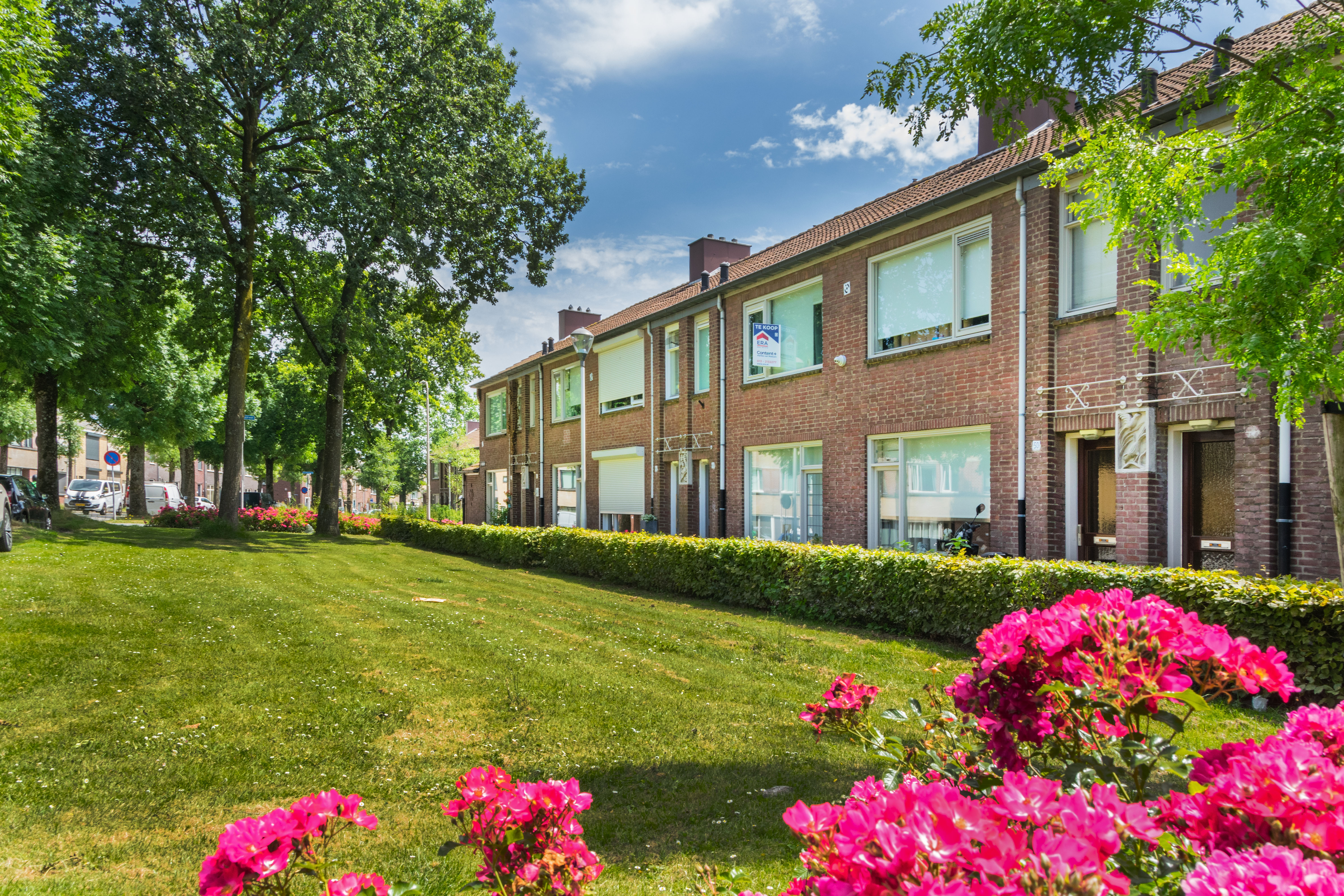 002_WBB_20240629_dillenburg