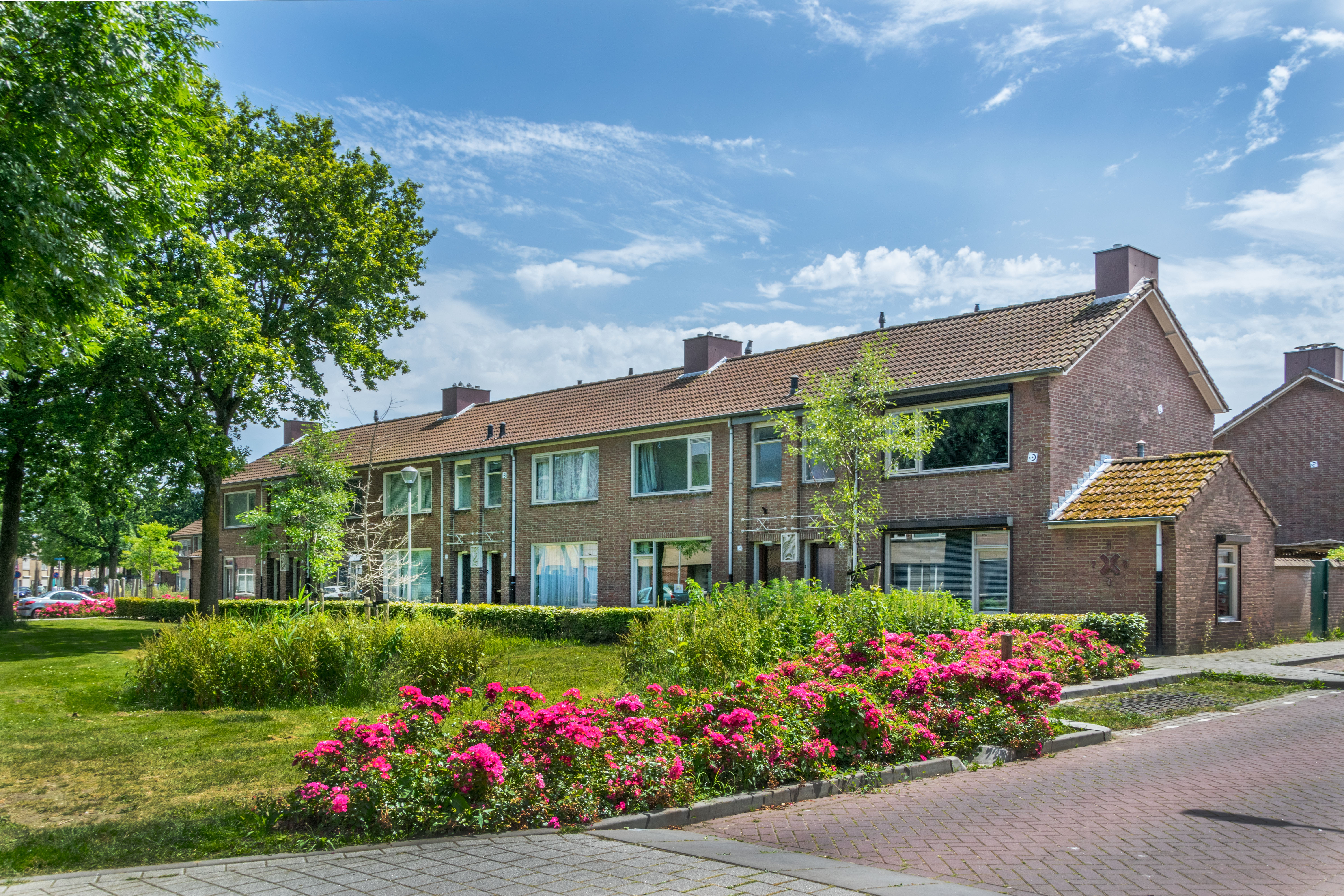 004_WBB_20240629_dillenburg